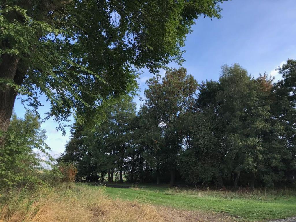 Johanna'S Oostwold  Exterior photo