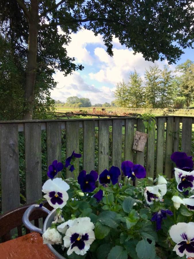 Johanna'S Oostwold  Exterior photo